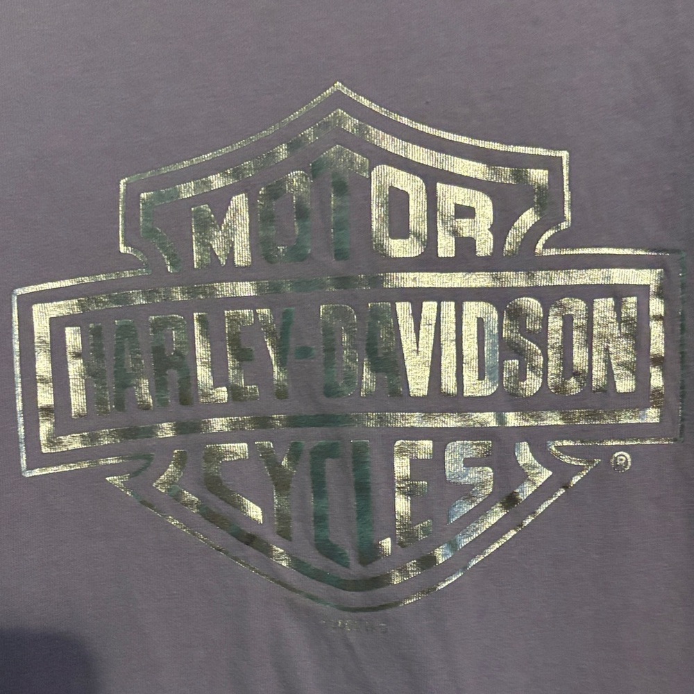 Harley-Davidson Charcoal Tee with Silver Logo